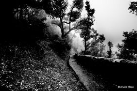 Solitude  by Arvind Hoon, Photography | Mojarto
