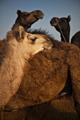 untitled by Ayush Ranka, Photography | Mojarto