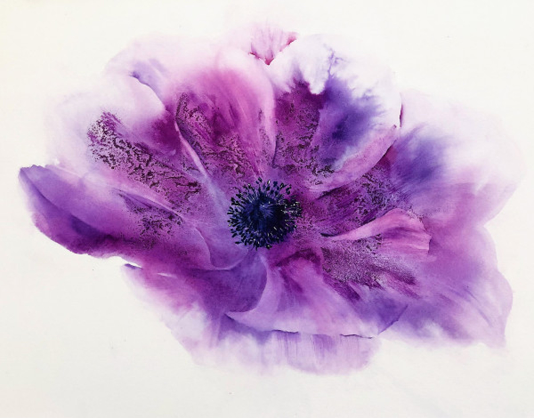 Purple Anemone by Nisha Sehjpal Online | Mojarto