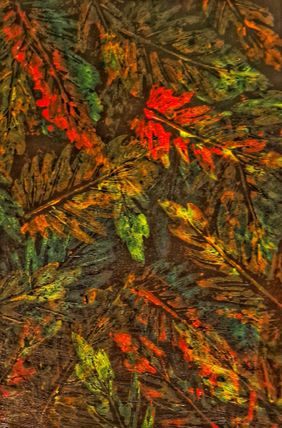 Forest Alchemy by Anita Saran, Painting | Mojarto