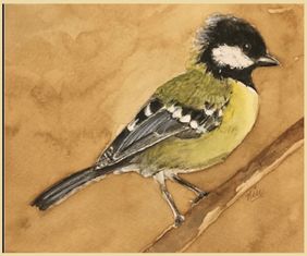 Green Backed Tit by Nin Taneja, Painting | Mojarto