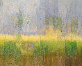 A Walk in the Woods 2 by Gayatri Deshpande, Painting | Mojarto