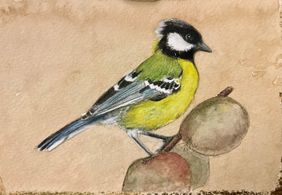 Green backed tit on a walnut tree by nin taneja, Painting | Mojarto