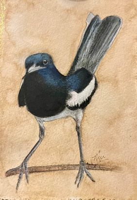 Magpie by nin taneja, Painting | Mojarto
