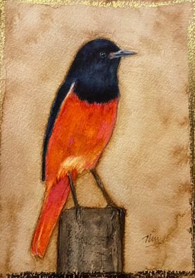 Scarlet minivet by nin taneja, Painting | Mojarto
