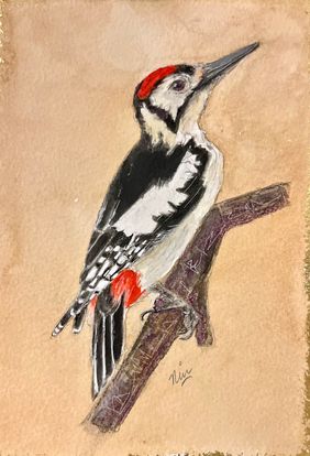 Himalayan Woodpecker by nin taneja, Painting | Mojarto
