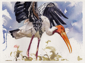 Painted Stork by Aniruddha Gupte, Painting | Mojarto