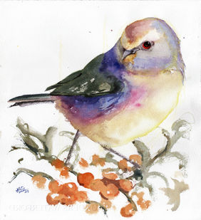 White-Browed Tit-Warbler by Aniruddha Gupte, Painting | Mojarto
