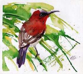 Crimson Sunbird by Aniruddha Gupte, Painting | Mojarto