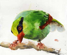 Common Green Magpie by Aniruddha Gupte, Painting | Mojarto