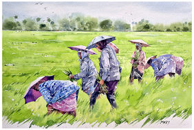 Rhythms of Kuttanad by Raji Pavithran, Painting | Mojarto