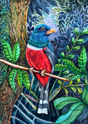 Colorful Masked Trogon Bird Watercolor Painting by Nabanita Ray, Painting | Mojarto