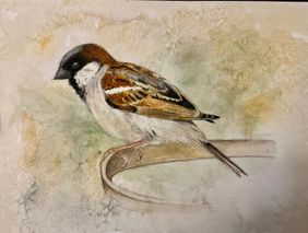 Sparrow   by nin taneja, Painting | Mojarto