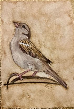 Sparrow (Female) by nin taneja, Painting | Mojarto