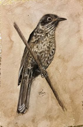 Scaly Thrush by nin taneja, Painting | Mojarto