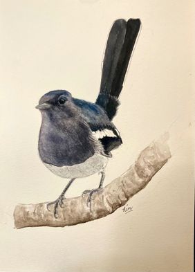 Oriental Magpie (female) by nin taneja, Painting | Mojarto